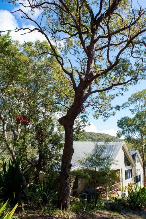 Nelson Bay Bed & Breakfast Extérieur photo