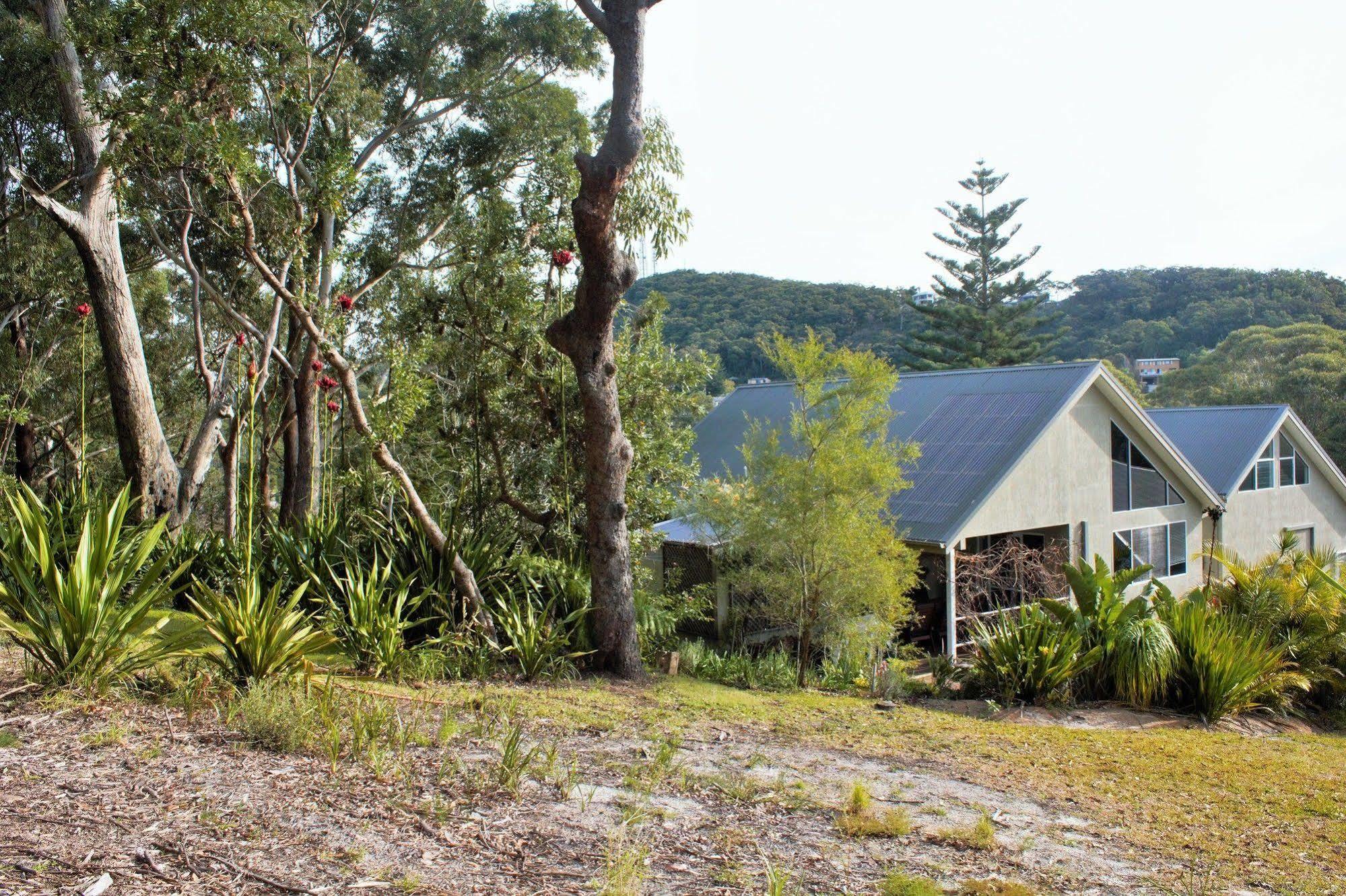 Nelson Bay Bed & Breakfast Extérieur photo