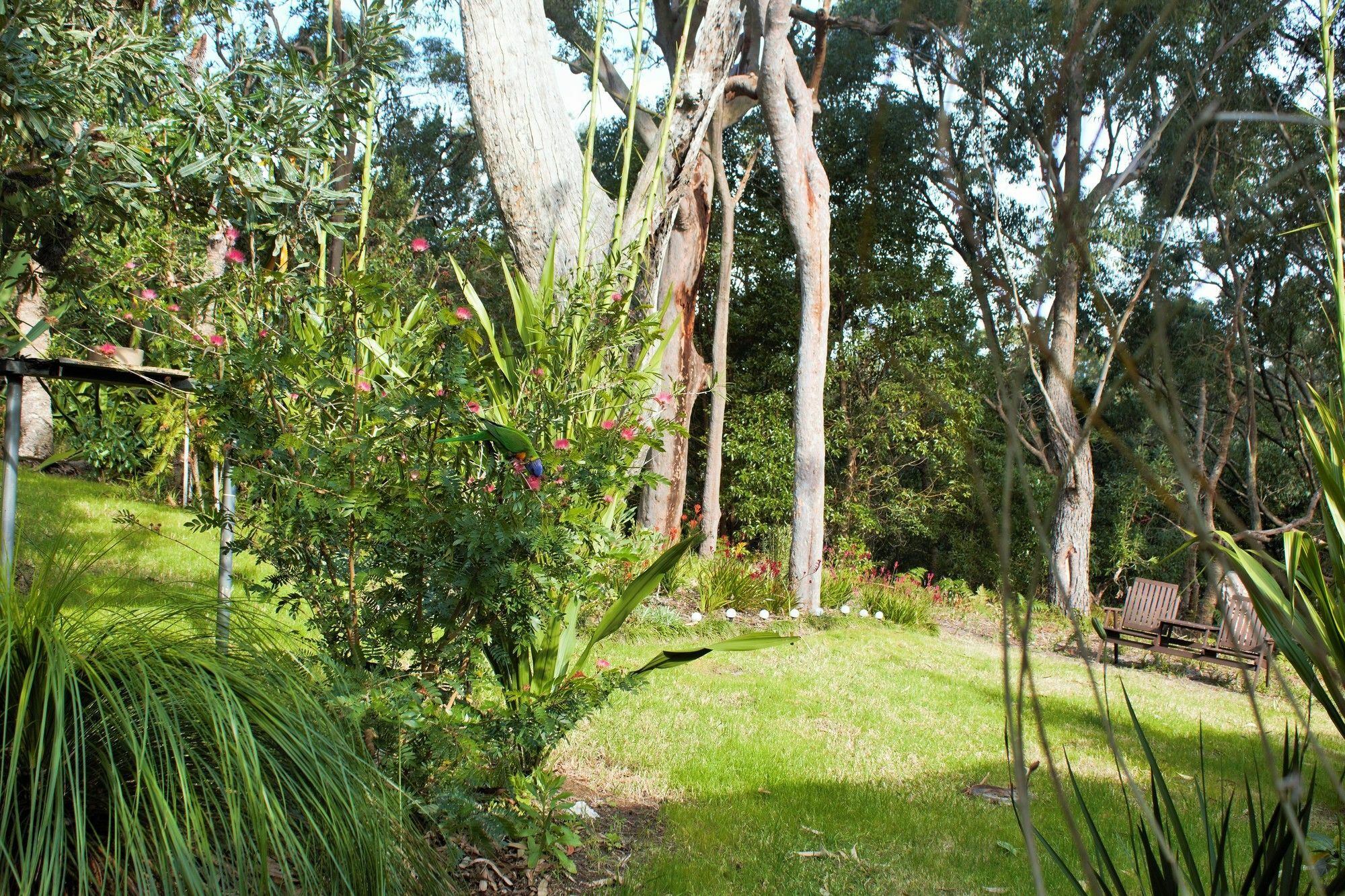 Nelson Bay Bed & Breakfast Extérieur photo