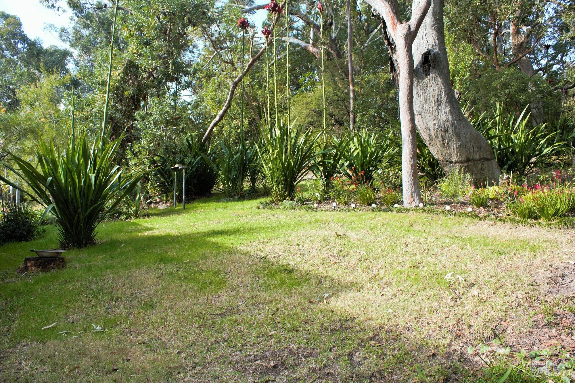 Nelson Bay Bed & Breakfast Extérieur photo
